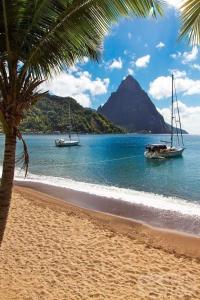 two boats in the water on a beach with a palm tree at Apartment Soleil- Because Location really is everything! in Soufrière