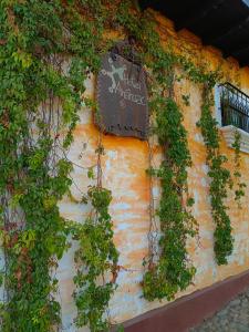 a wall covered in ivy with a sign on it at Hotel Anáhuac in Juayúa