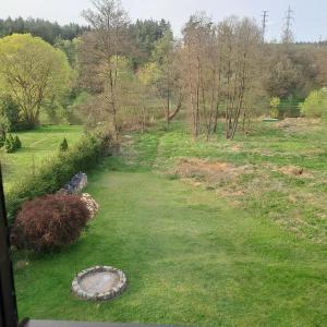 vistas a un patio con un estanque en el césped en Chata Nuzice, en Týn nad Vltavou