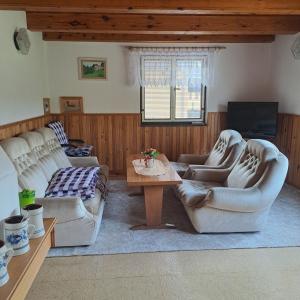 Sala de estar con 2 sofás y mesa en Chata Nuzice, en Týn nad Vltavou