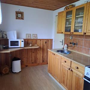 cocina con armarios de madera, fregadero y microondas en Chata Nuzice, en Týn nad Vltavou