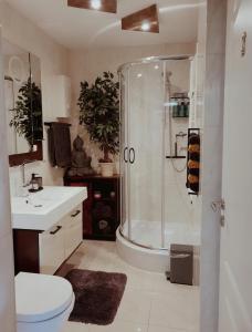 uma casa de banho com um chuveiro, um WC e um lavatório. em Familienfreundliche Wohnung zwischen Köln & Aachen em Bergheim