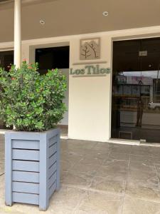 uma loja com dois vasos de plantas em frente a um edifício em HOTEL LOS TILOS RECONQUISTA em Reconquista
