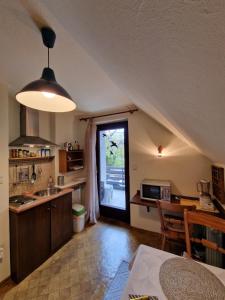 a kitchen with a sink and a door to a yard at Vila Nana Bled Apartments & Rooms in Bled +14 photos