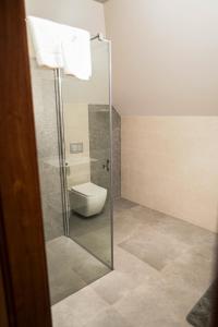 a bathroom with a glass shower with a toilet at Spokojny Apartament u Słodyczki w Kluszkowcach in Kluszkowce