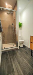 La salle de bains est pourvue d'une douche et de toilettes. dans l'établissement Appartements à thème, à Clermont-Ferrand