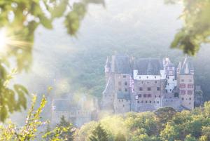 a castle on top of a hill with trees at Ferienhaus Olive Tree in Bullay