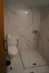 a white bathroom with a toilet and a shower at Tea's sea apartments in Siviri
