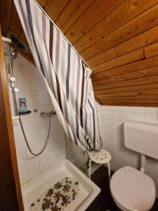 een kleine badkamer met een douche en een toilet bij Vila Nana Bled Apartments & Rooms in Bled