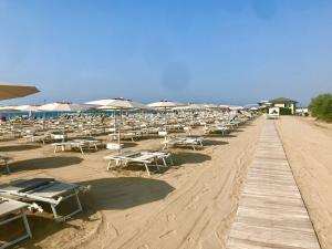 uma fila de cadeiras de praia e guarda-sóis numa praia em Park Hotel Pineta & Dependance Suite em Eraclea Mare