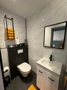 Un baño con inodoro, lavabo y espejo. en De Gouwe Stek, en Landsmeer 6 fotos más