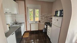 a kitchen with a white refrigerator and a window at Vila Sinfonia, a house with a pool in Velika Remeta