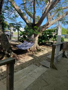 a hammock hanging from a tree in a park at Las Olas studios in Arecibo