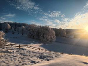 un champ recouvert de neige avec une clôture et des arbres dans l'établissement Chambres d'hôte des 3 Marches, à Lamoura