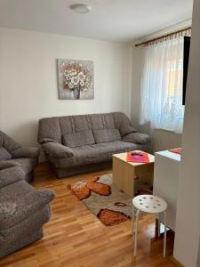 uma sala de estar com um sofá e uma mesa em Apartman LENKA em Pirot