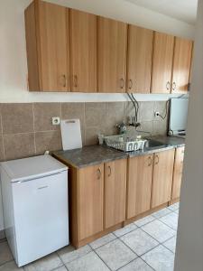 A cozinha ou cozinha compacta de Apartman LENKA