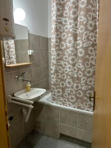 uma casa de banho com uma cortina de chuveiro e um lavatório em Apartman LENKA em Pirot
