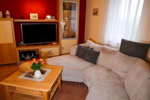ein Wohnzimmer mit einem Sofa und einem TV in der Unterkunft Ferienwohnung Andres in Drübeck