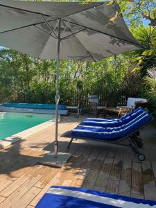 艾格－莫爾特的住宿－Chambre BELEM - MAS SAINT LOUIS，游泳池畔的遮阳伞和躺椅