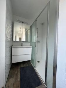 uma casa de banho com um chuveiro, um lavatório e um espelho. em La Petite Maison em Lithaire
