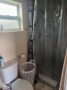 uma casa de banho com um WC e um chuveiro em Jerry Couzens em Tampa