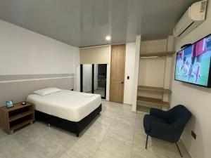 HOSTAL DEL LLANO في فيلافيسينسيو: غرفة نوم بسرير وتلفزيون وكرسي