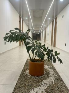Fotografie z fotogalerie ubytování RB Hotel v destinaci Villavicencio