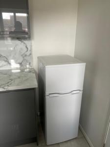 a white refrigerator in a kitchen next to a counter at Centre reache in Southend-on-Sea