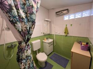 Grandma Nana House في هرسك نوفي: حمام مع مرحاض وستارة دش