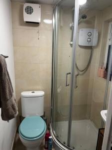 a small bathroom with a shower and a toilet at Trendy artisan cottage in Stoneybatter near Dublin City centre in Dublin