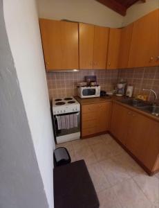 a small kitchen with a stove and a microwave at Agape’s apartment in Anaxos