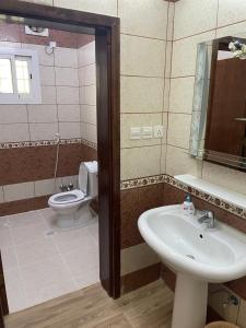 a bathroom with a sink and a toilet at at-Tafilah Ross inn in Tufailah