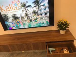 TV a/nebo společenská místnost v ubytování Kalia Hotel