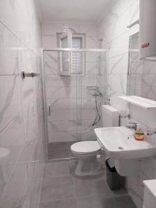 a bathroom with a shower and a toilet and a sink at Captain's villa in Molunat