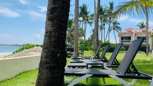 uma fila de cadeiras de jardim sentadas ao lado de uma árvore em Cabarete Beachfront Condos Nanny Estate A3 em Cabarete
