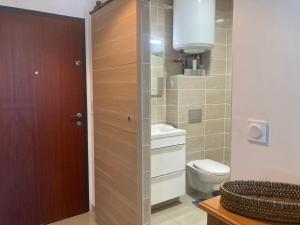 a bathroom with a toilet and a wooden door at Studio RDC 35m2 Plein centre in Foix