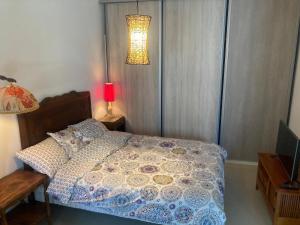 a bedroom with a bed with a comforter and a lamp at Studio RDC 35m2 Plein centre in Foix