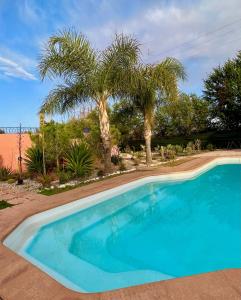 a blue swimming pool with palm trees in the background at Marrakech in Marrakech