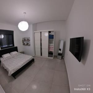 TV a/nebo společenská místnost v ubytování וילת צאלים