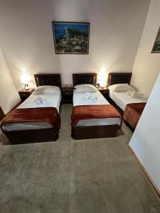 a hotel room with two beds and two lamps at Villa Palma Center in Berat