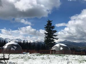 dwie kopuły na pokrytym śniegiem wzgórzu z drzewem w obiekcie Tatra Glamp Tarasówka w Poroninie