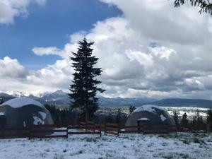 dwa namioty na polu ze śniegiem na ziemi w obiekcie Tatra Glamp Tarasówka w Poroninie