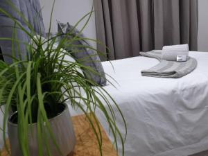 a bed with a pillow and a plant on it at House At Eight in Jwaneng