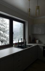 a kitchen with a sink and a window with a view at Paltin Evergreen Garana in Gărâna