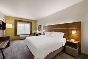 a hotel room with a large bed and a desk at Holiday Inn Express Hotel & Suites Limon I-70/Exit 359, an IHG Hotel in Limon