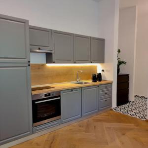 una cocina con armarios grises y fregadero en M17S Heritage Apartments en Zagreb