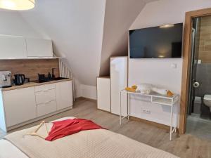 a room with a bed and a tv on a wall at APP Biały Dunajec in Biały Dunajec