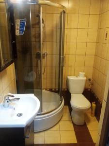 キェルツェにあるApartament Rossoのバスルーム(トイレ、シャワー、シンク付)