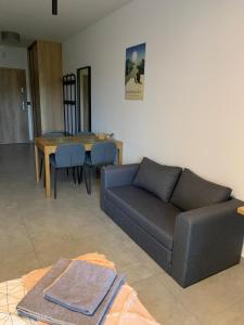 レスコにあるApartament w Dolinie Sanu 1のギャラリーの写真