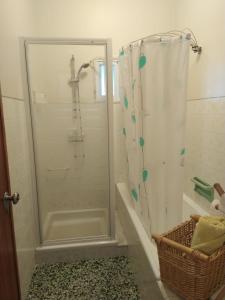 キンタ・ド・アンジョにあるCasa da Adegaのバスルーム(ガラスドア付きのシャワー付)